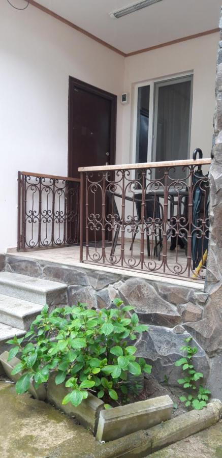 Ira & Vaso'S Guest House Borjomipark Luaran gambar